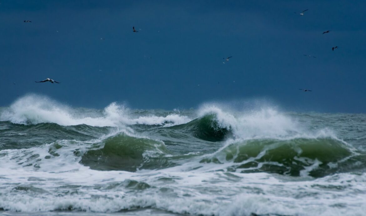 What does it take to lead through crisis?